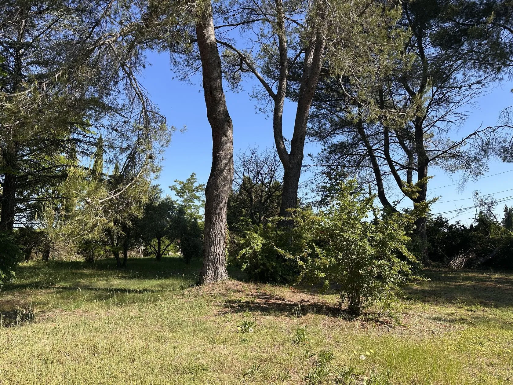 Terrain à bâtir 1357 m² à Aix-en-Provence (13100)