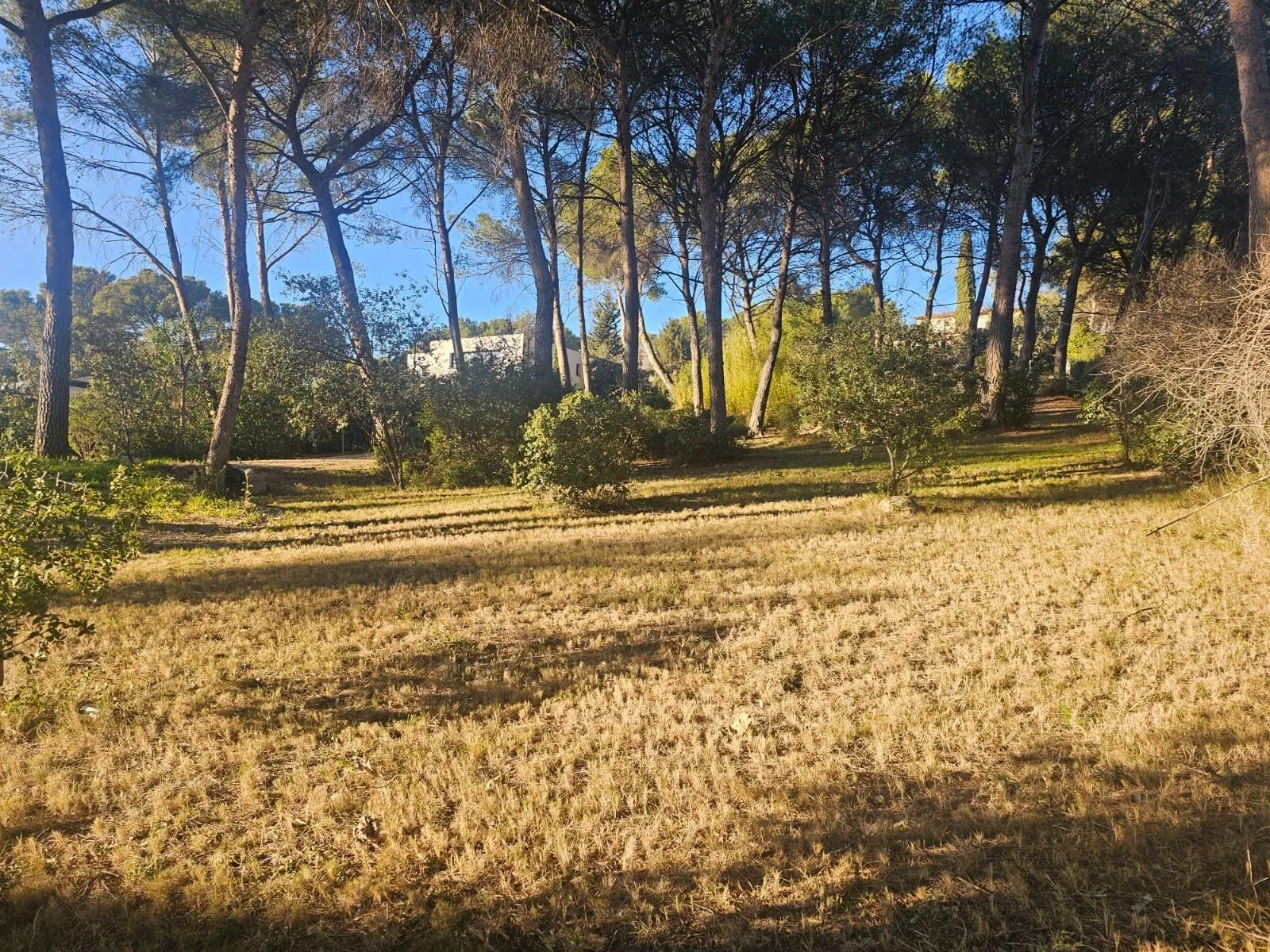 Terrain à bâtir 1814 m² à Ventabren (13122)