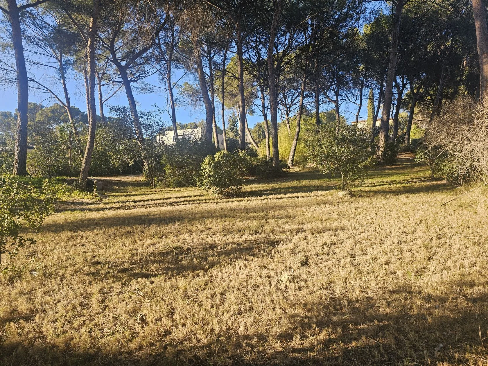 Terrain à bâtir 1814 m² à Ventabren (13122)