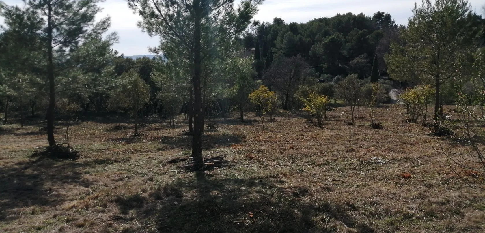Terrain à bâtir 3750 m² à La Bastidonne (84120)