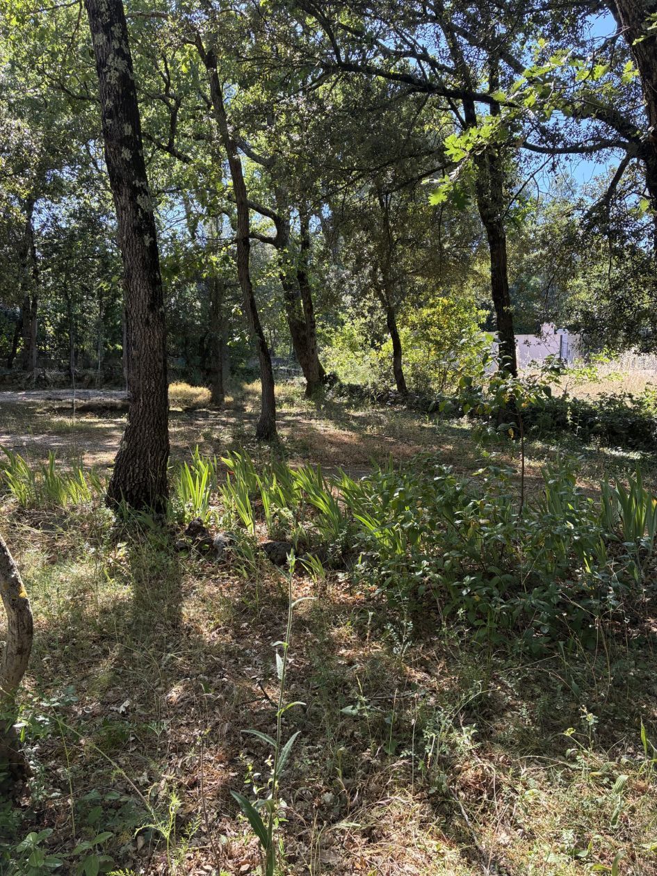 Maison neuve 95 m² à Garéoult (83136)