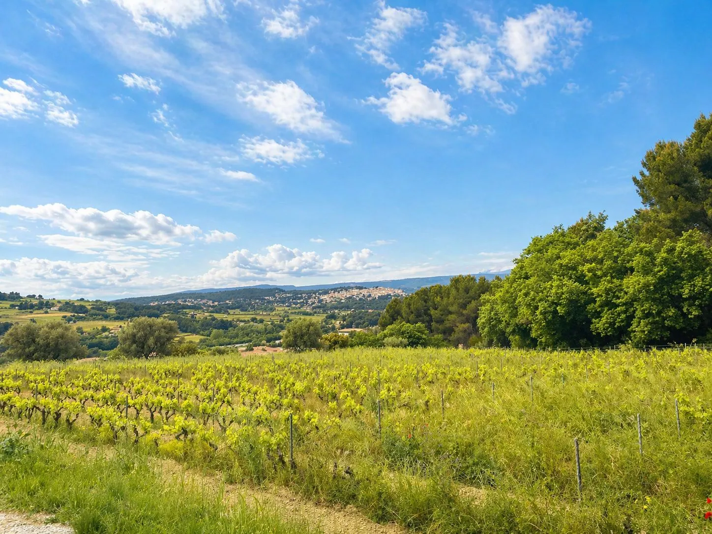 Terrain à bâtir 522 m² au Castellet (83330)
