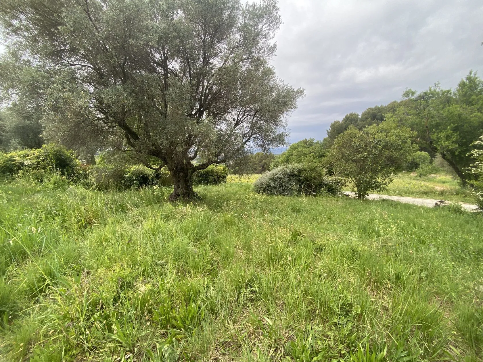 Terrain à bâtir 522 m² au Castellet (83330)