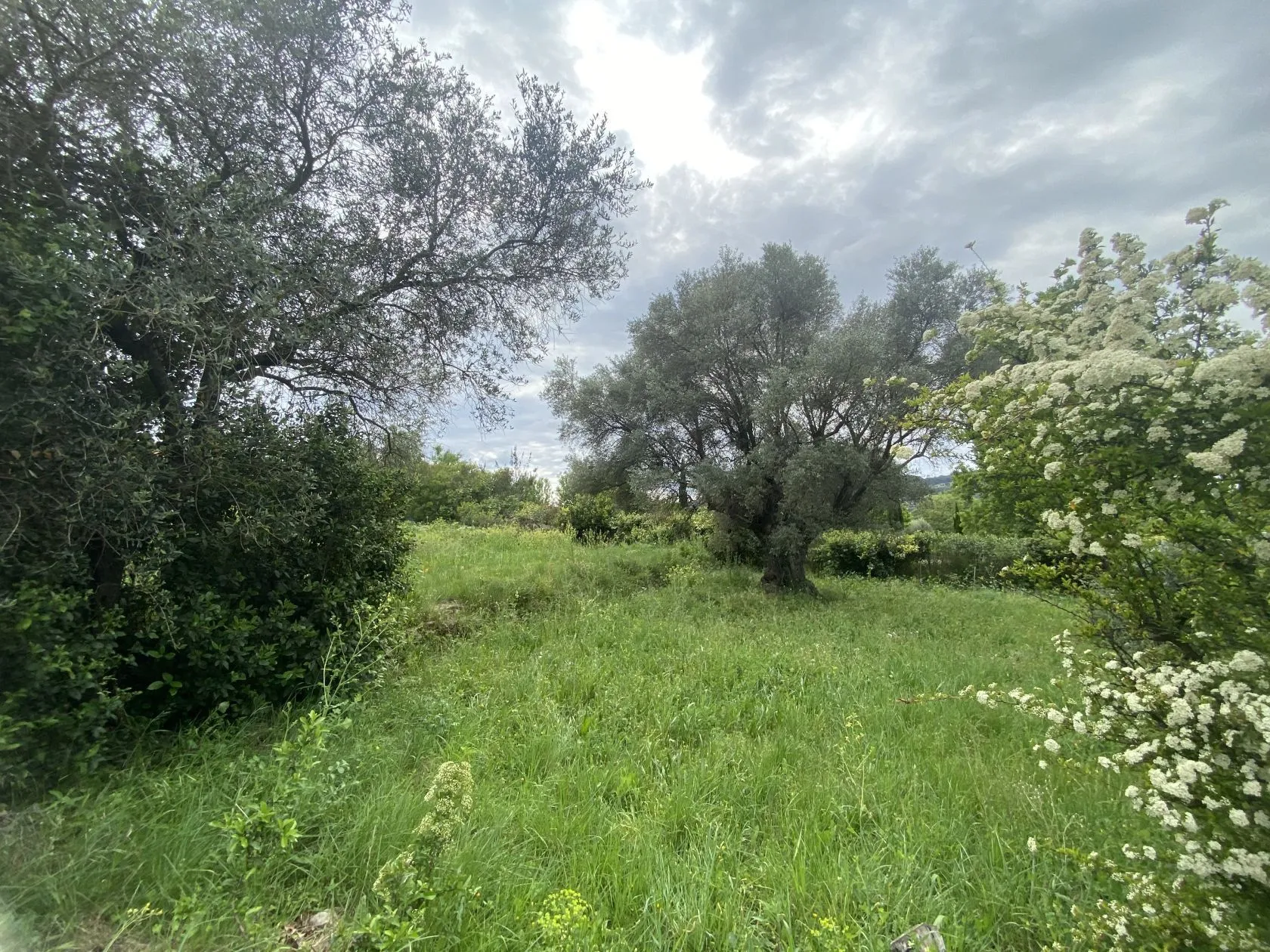 Terrain à bâtir 522 m² au Castellet (83330)