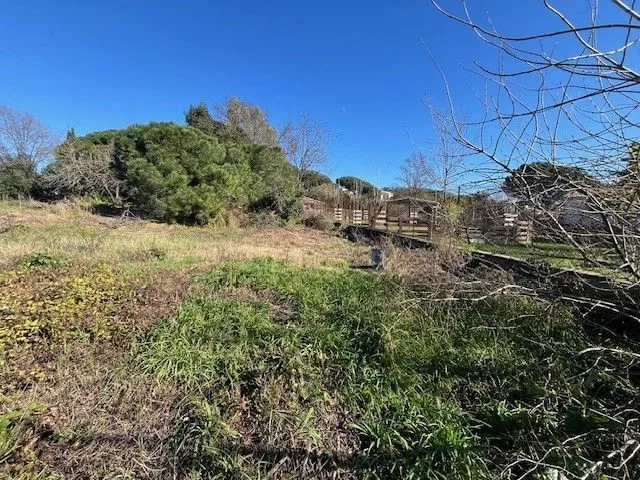 Terrain à bâtir 538 m² à Cannes (06400)