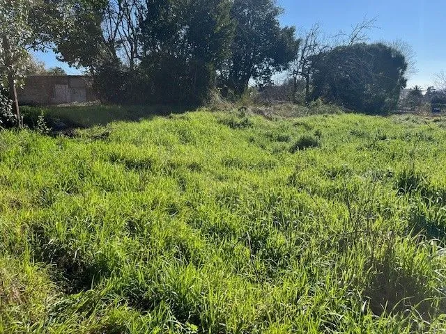 Terrain à bâtir 538 m² à Cannes (06400)