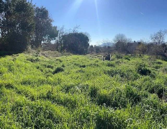Terrain à bâtir 538 m² à Cannes (06400)