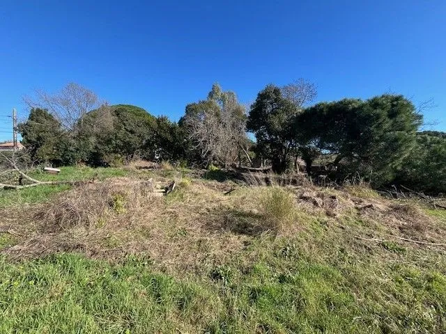 Terrain à bâtir 538 m² à Cannes (06400)