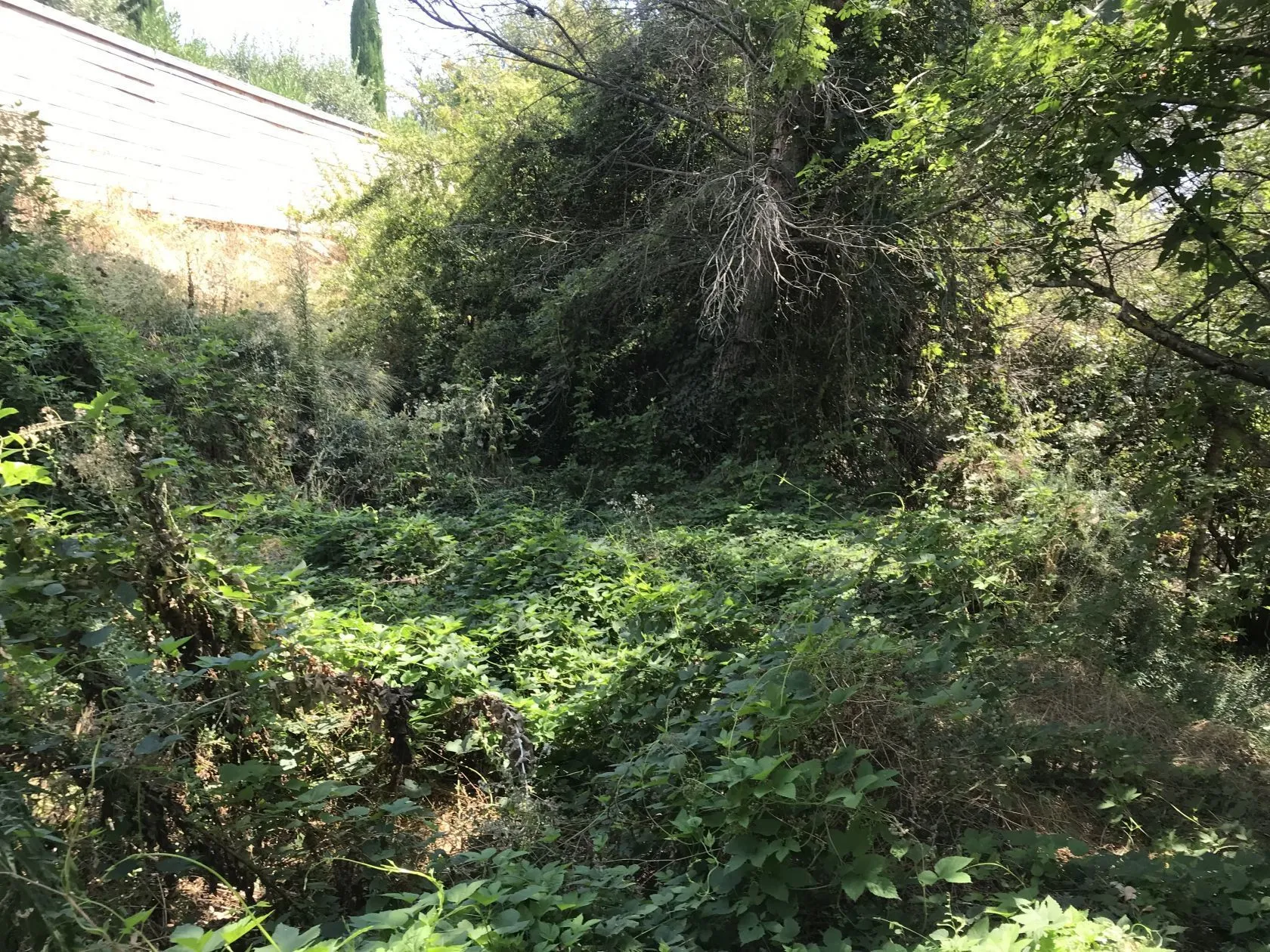 Terrain à bâtir 700 m² à Grasse (06130)