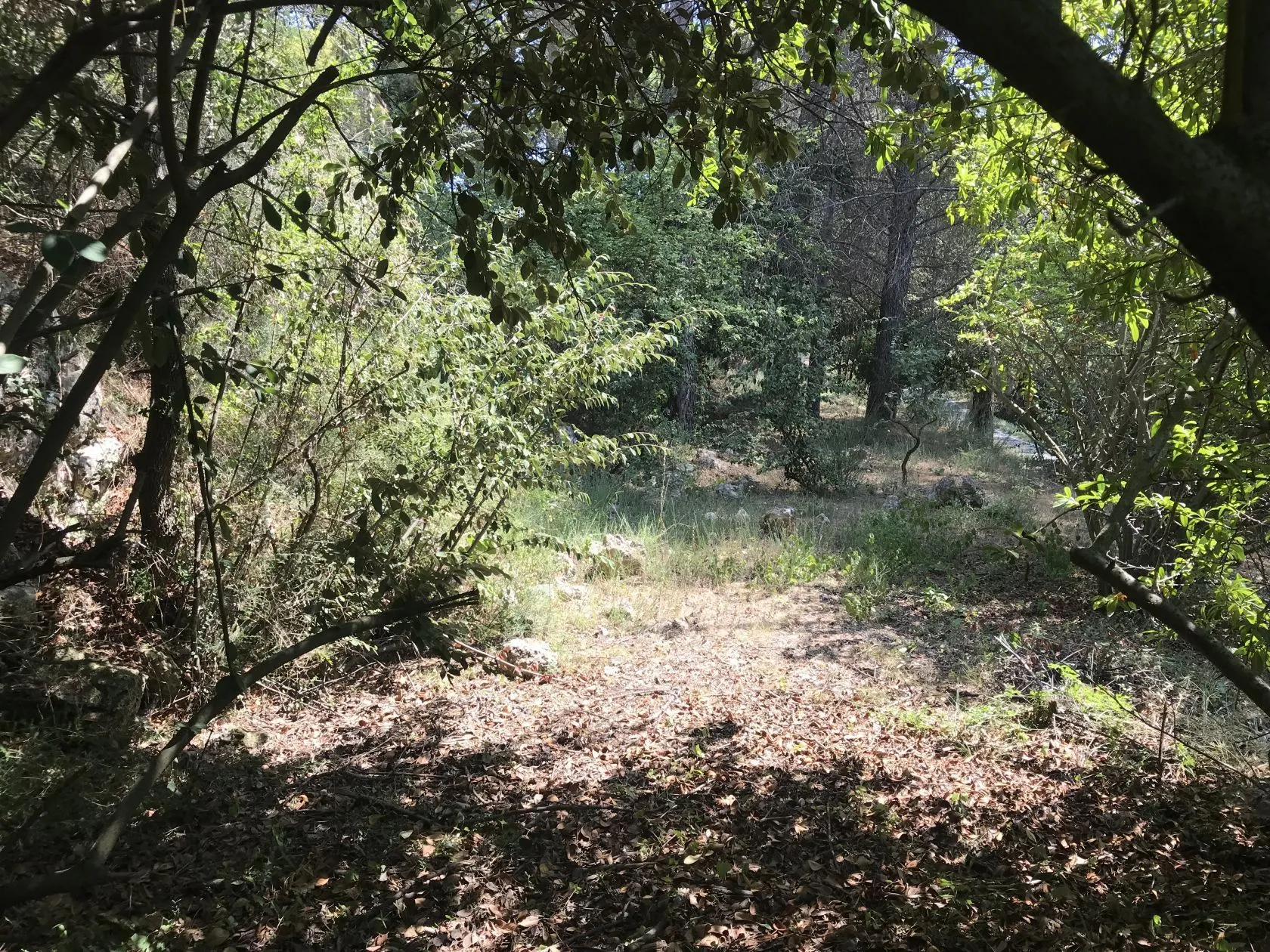 Terrain à bâtir 700 m² à Grasse (06130)