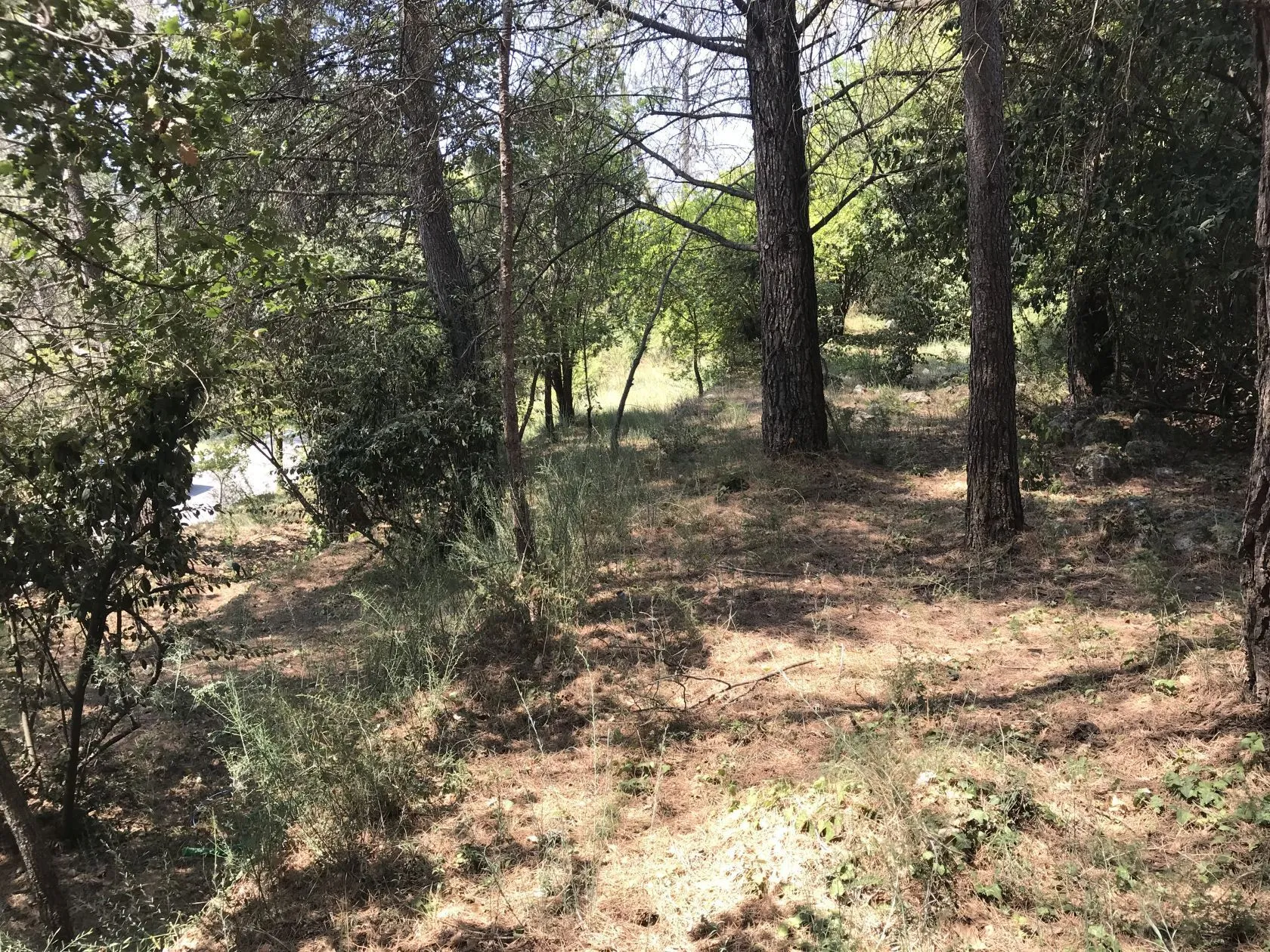 Terrain à bâtir 700 m² à Grasse (06130)