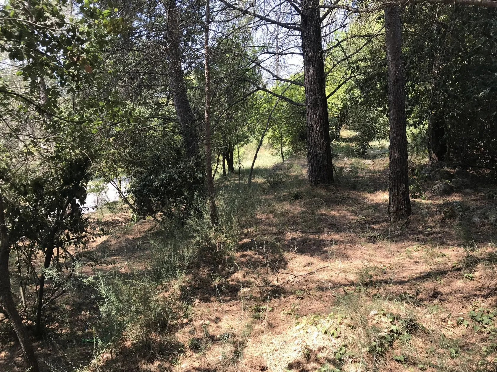 Terrain à bâtir 700 m² à Grasse (06130)