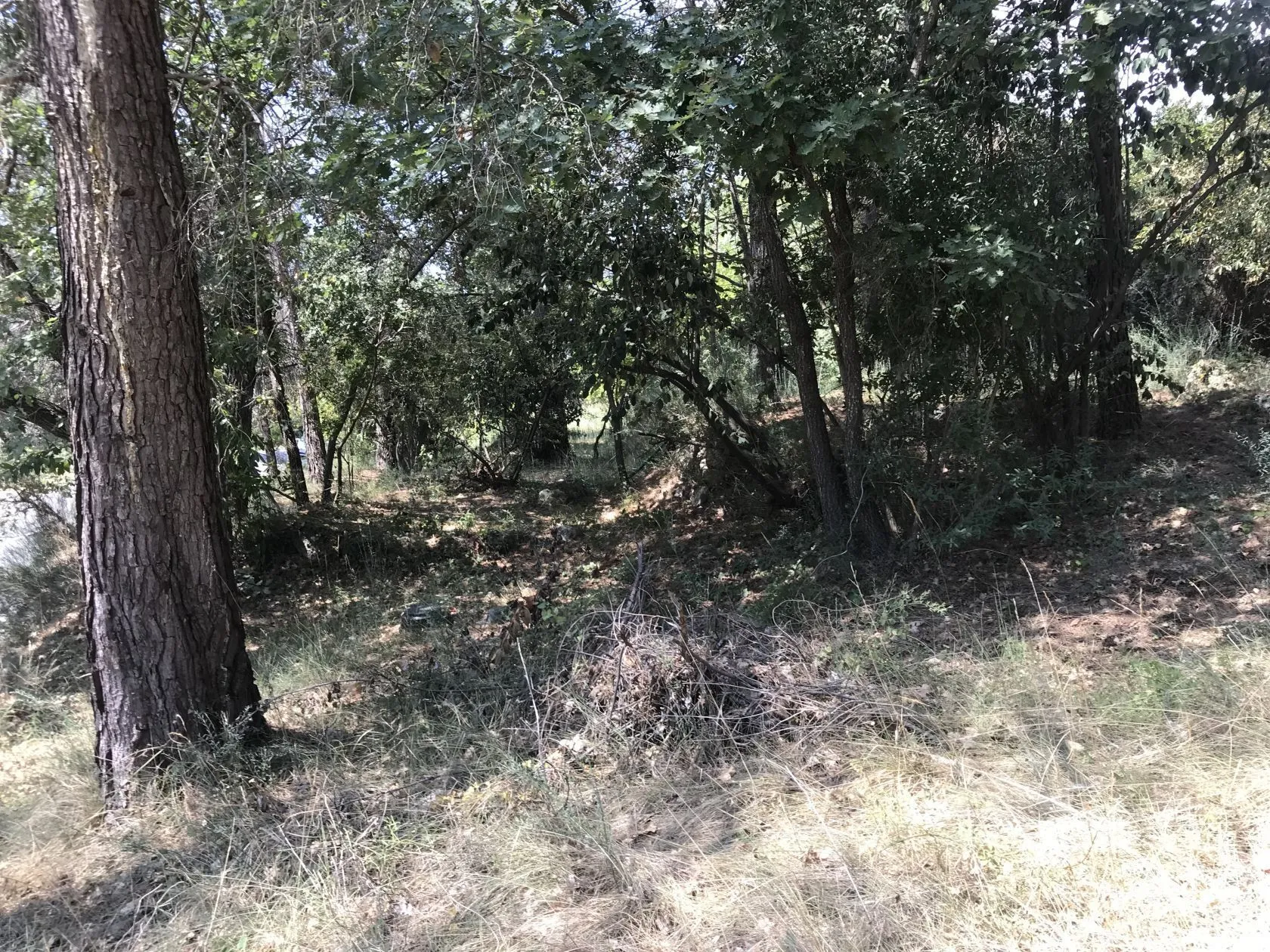 Terrain à bâtir 700 m² à Grasse (06130)
