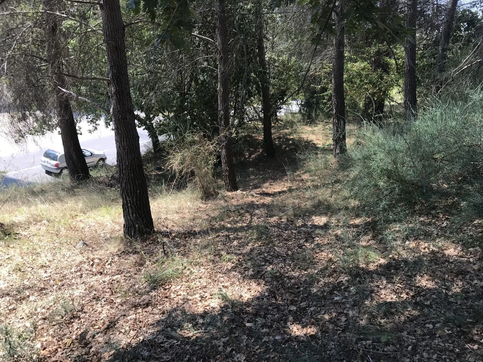 Terrain à bâtir 700 m² à Grasse (06130)