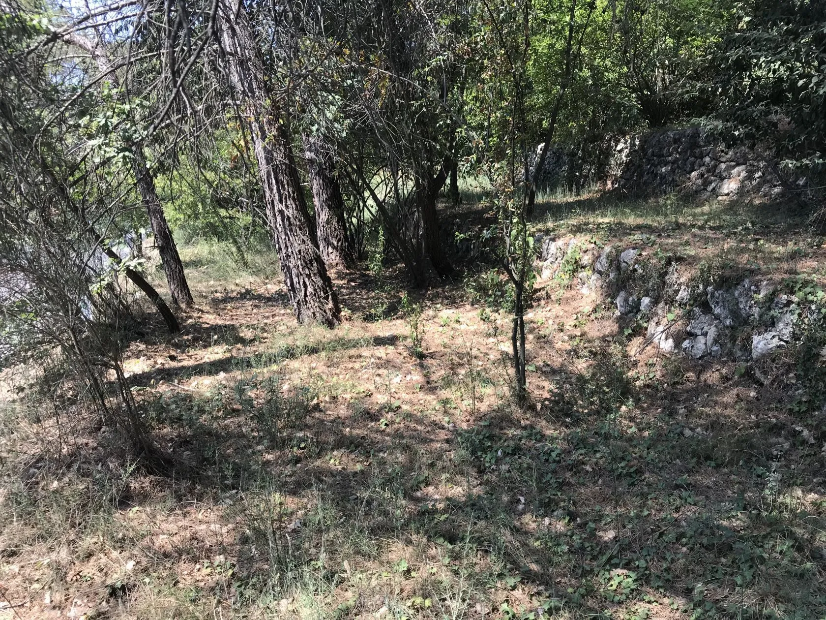 Terrain à bâtir 700 m² à Grasse (06130)