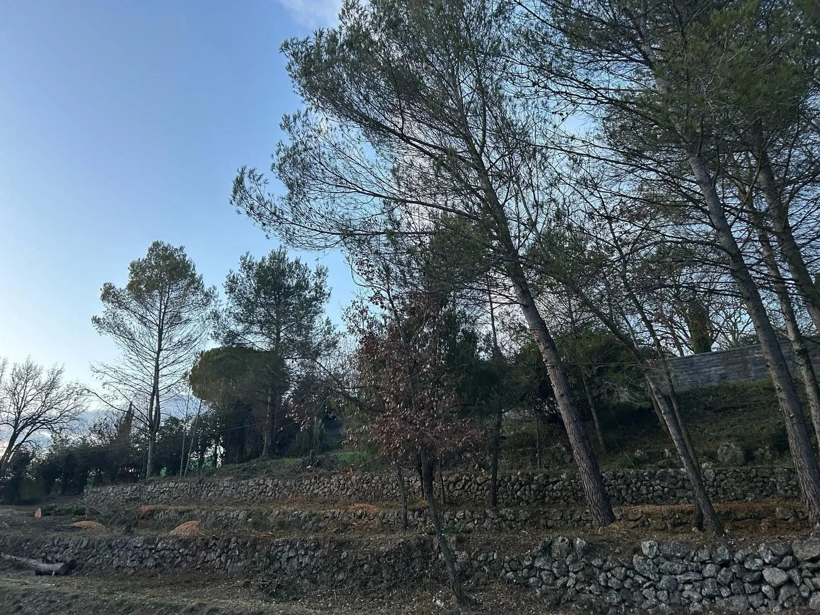 Terrain à bâtir 700 m² à Grasse (06130)