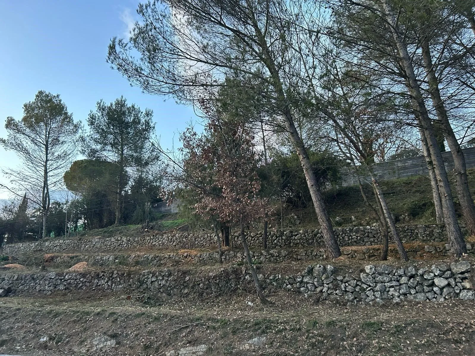 Terrain à bâtir 700 m² à Grasse (06130)