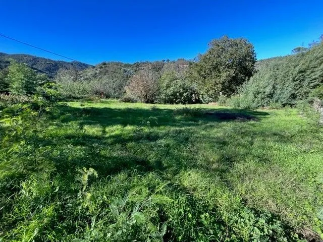 Terrain à bâtir 300 m² à Pegomas (06580)