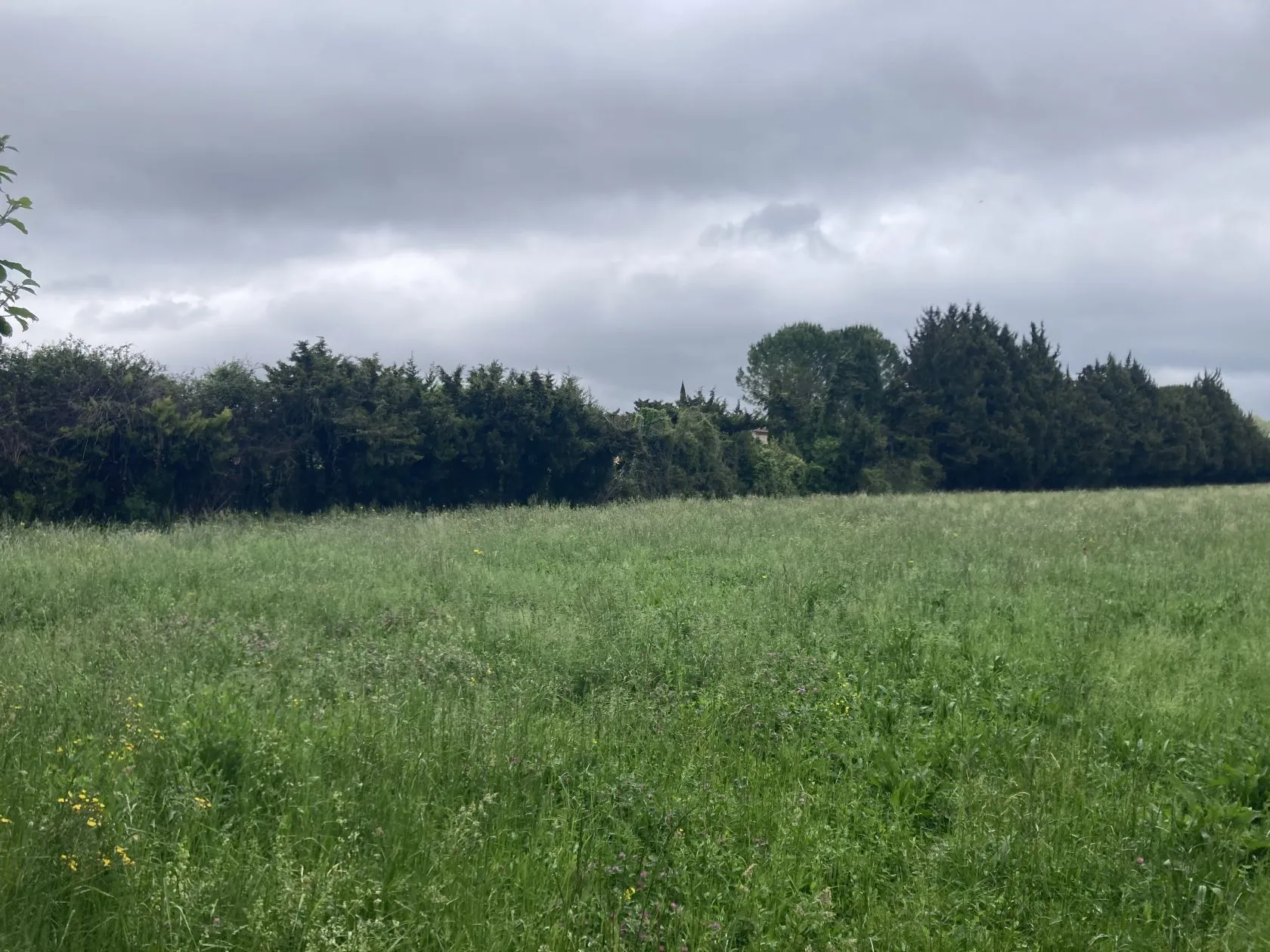 Terrain à bâtir 650 m² à L'Isle-sur-la-Sorgue (84800)
