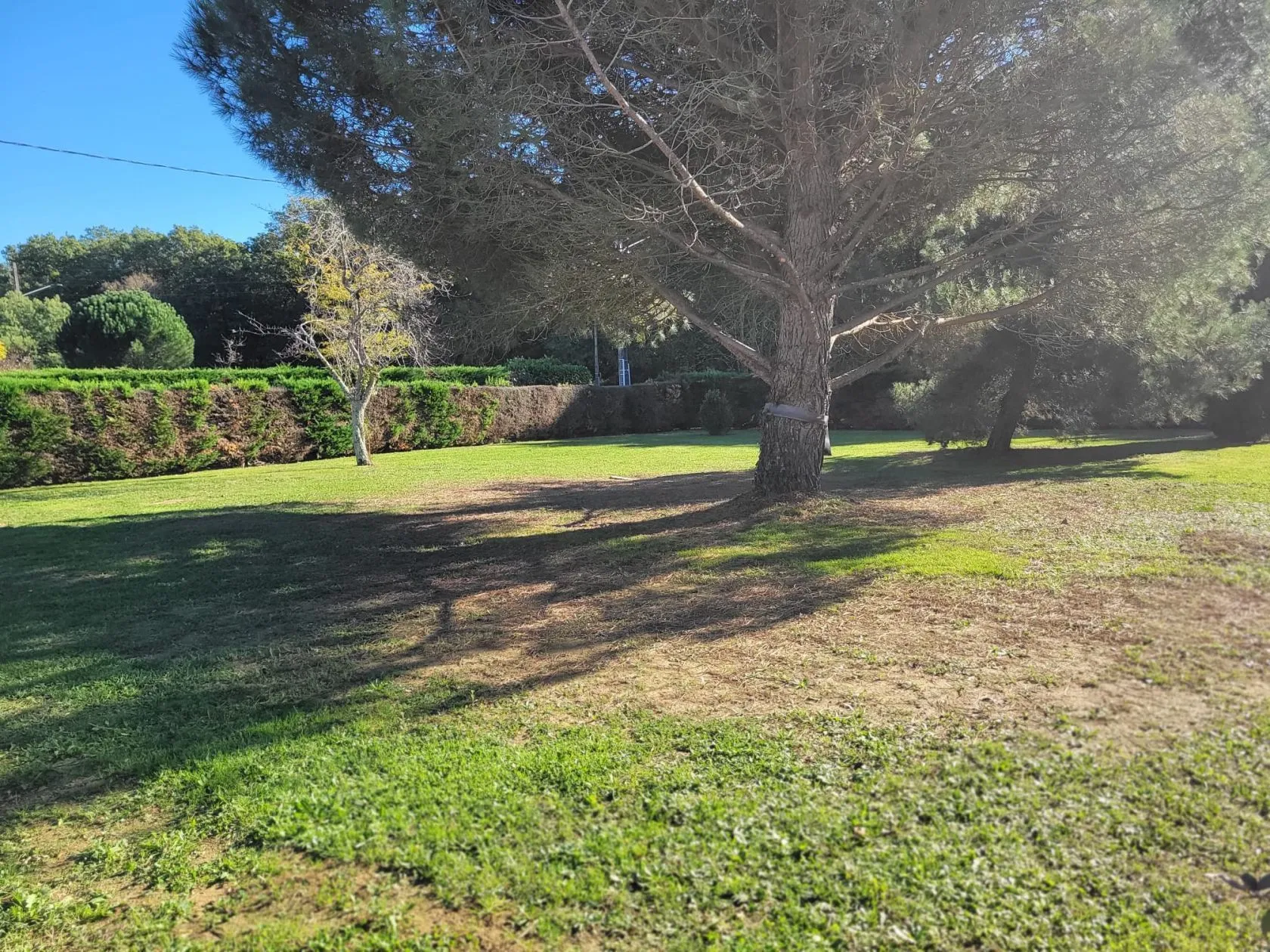 Maison neuve 107 m² à Pibrac (31820)