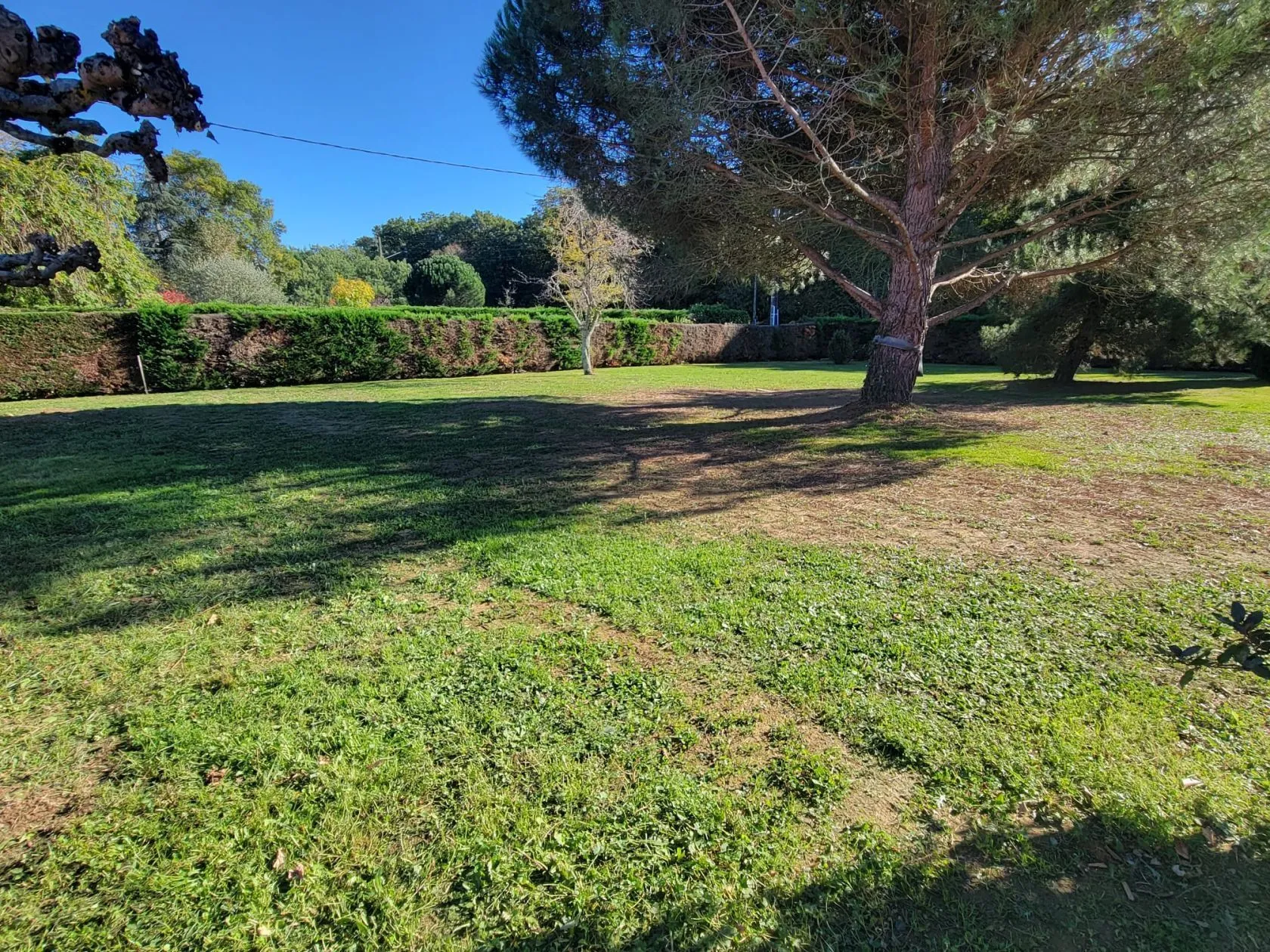 Maison neuve 107 m² à Pibrac (31820)