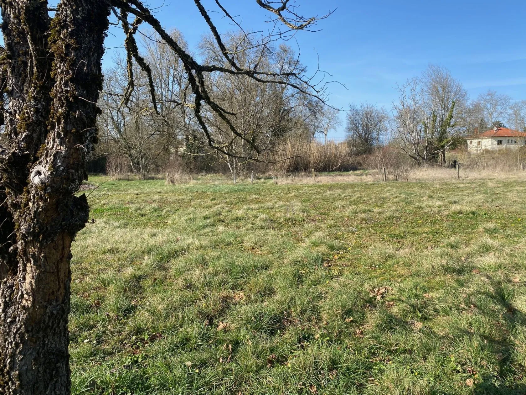 Maison neuve 93 m² à Septfonds (82240)