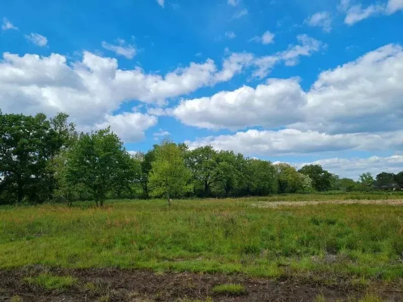 Maison neuve 99 m² à Montauban (82000)
