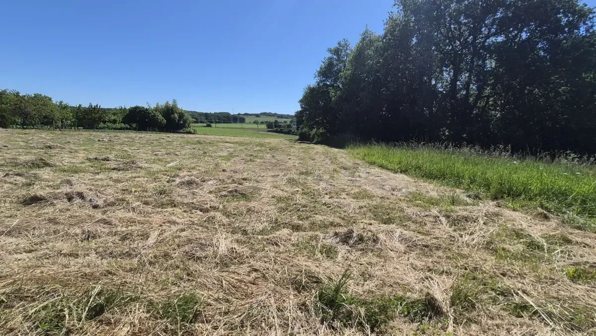 Maison neuve 136 m² à Puydaniel (31190)