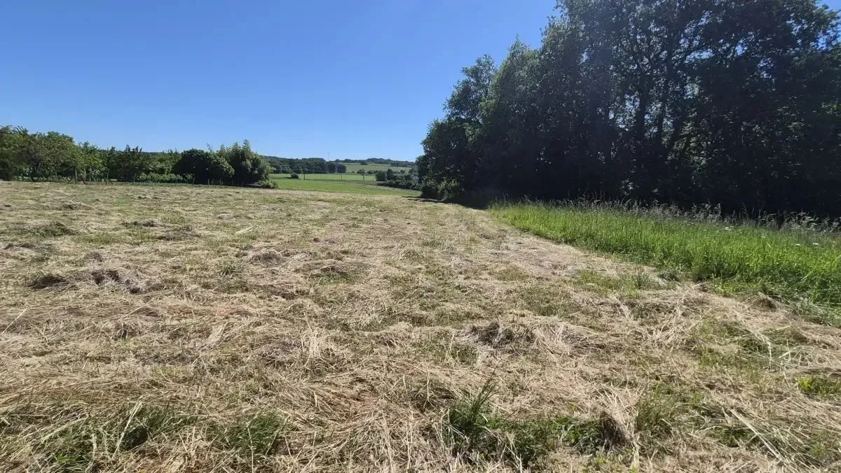 Maison neuve 138 m² à Puydaniel (31190)