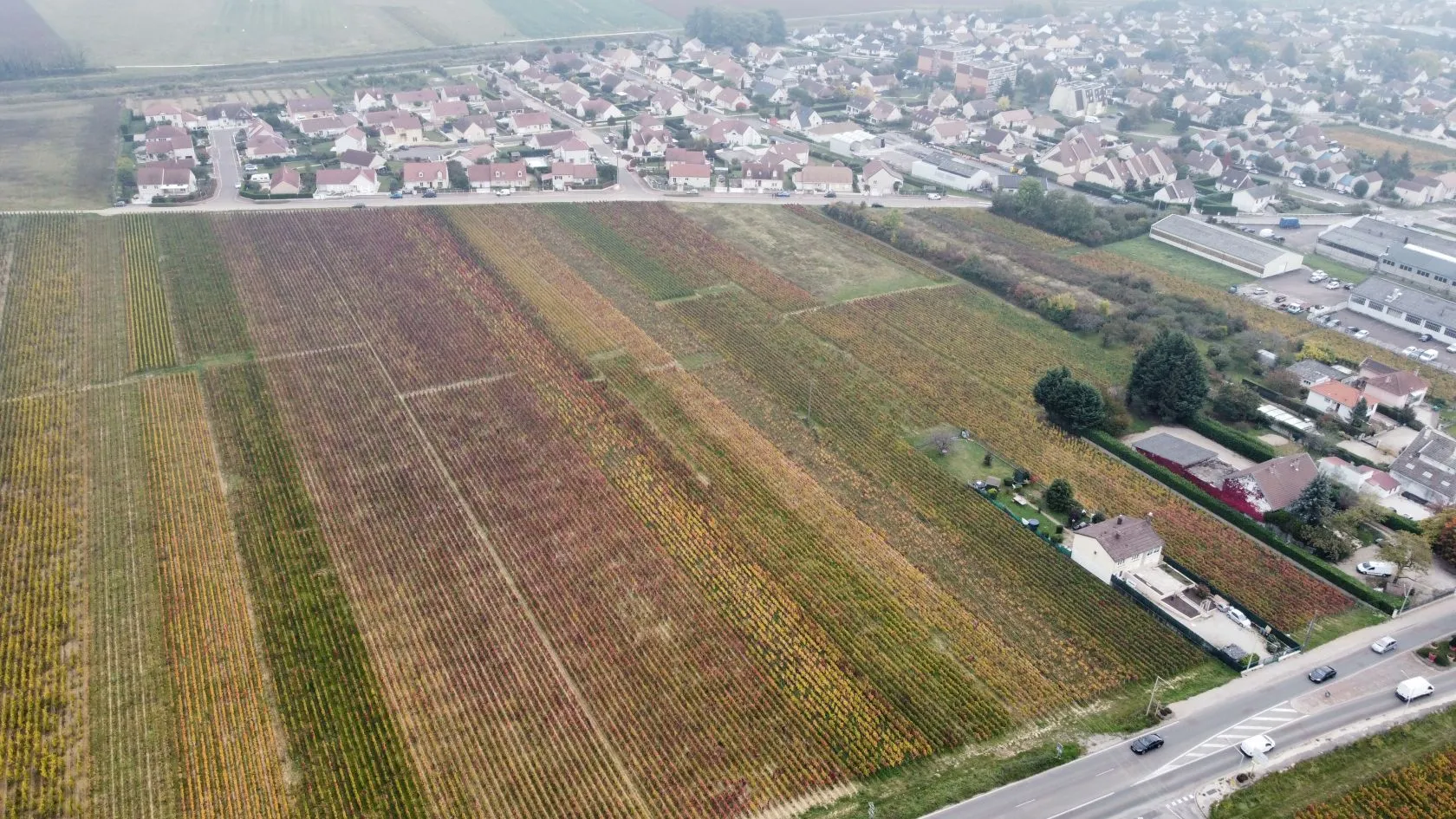 Terrain à bâtir 448 m² à Nuits-Saint-Georges (21700)