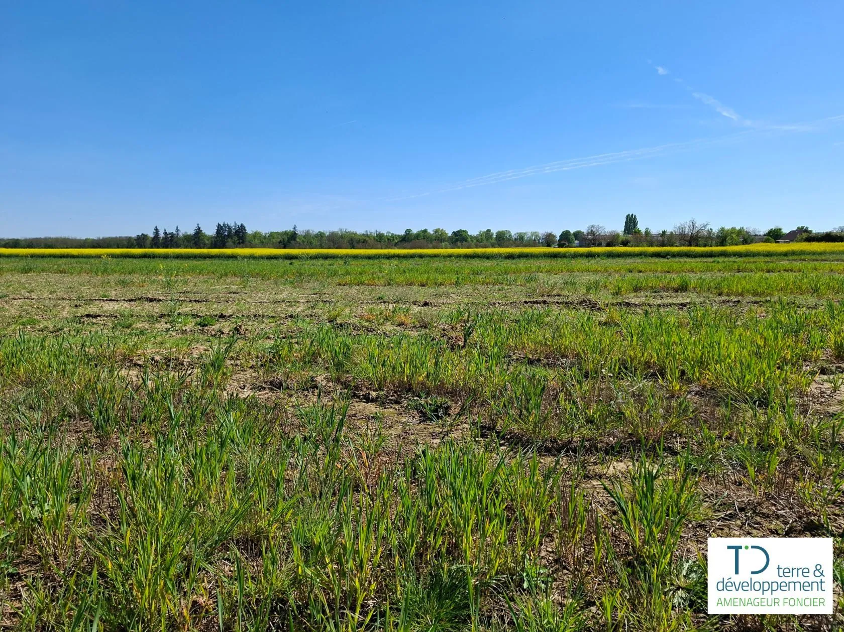 Terrain à bâtir 424 m² à Habsheim (68440)