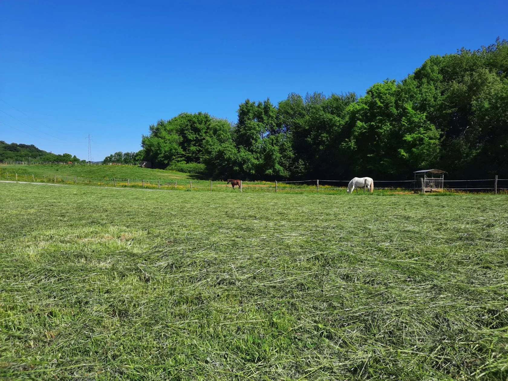 Terrain à bâtir 426 m² à Bavilliers (90800)