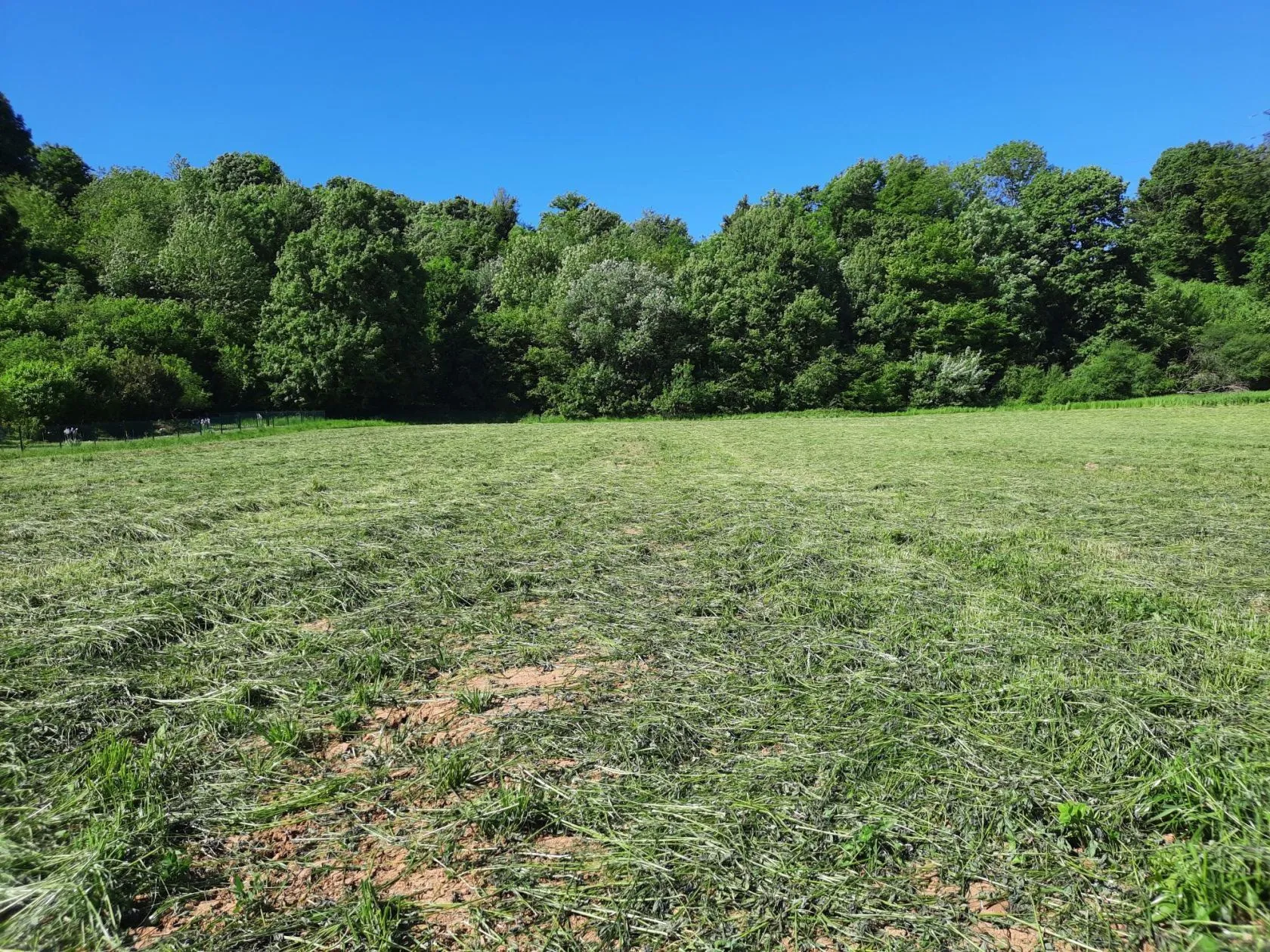 Terrain à bâtir 426 m² à Bavilliers (90800)
