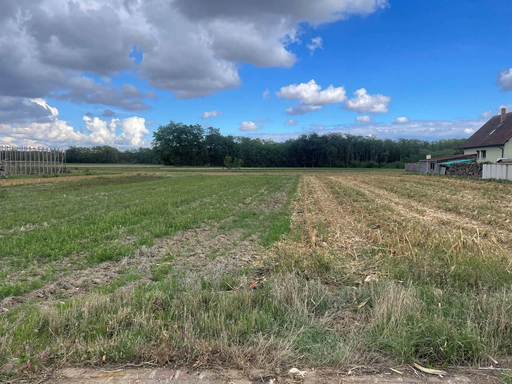 Terrain à bâtir 413 m² à Niederhergheim (68250)