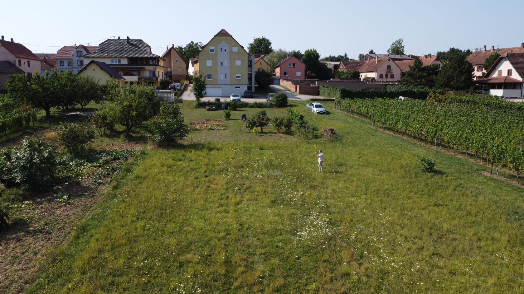 Terrain à bâtir 450 m² à Dahlenheim (67310)