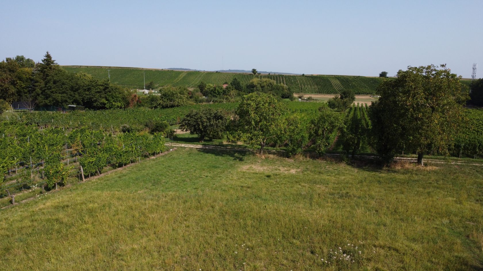 Terrain à bâtir 450 m² à Dahlenheim (67310)