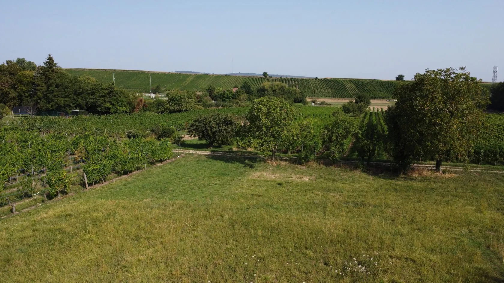 Terrain à bâtir 451 m² à Dahlenheim (67310)