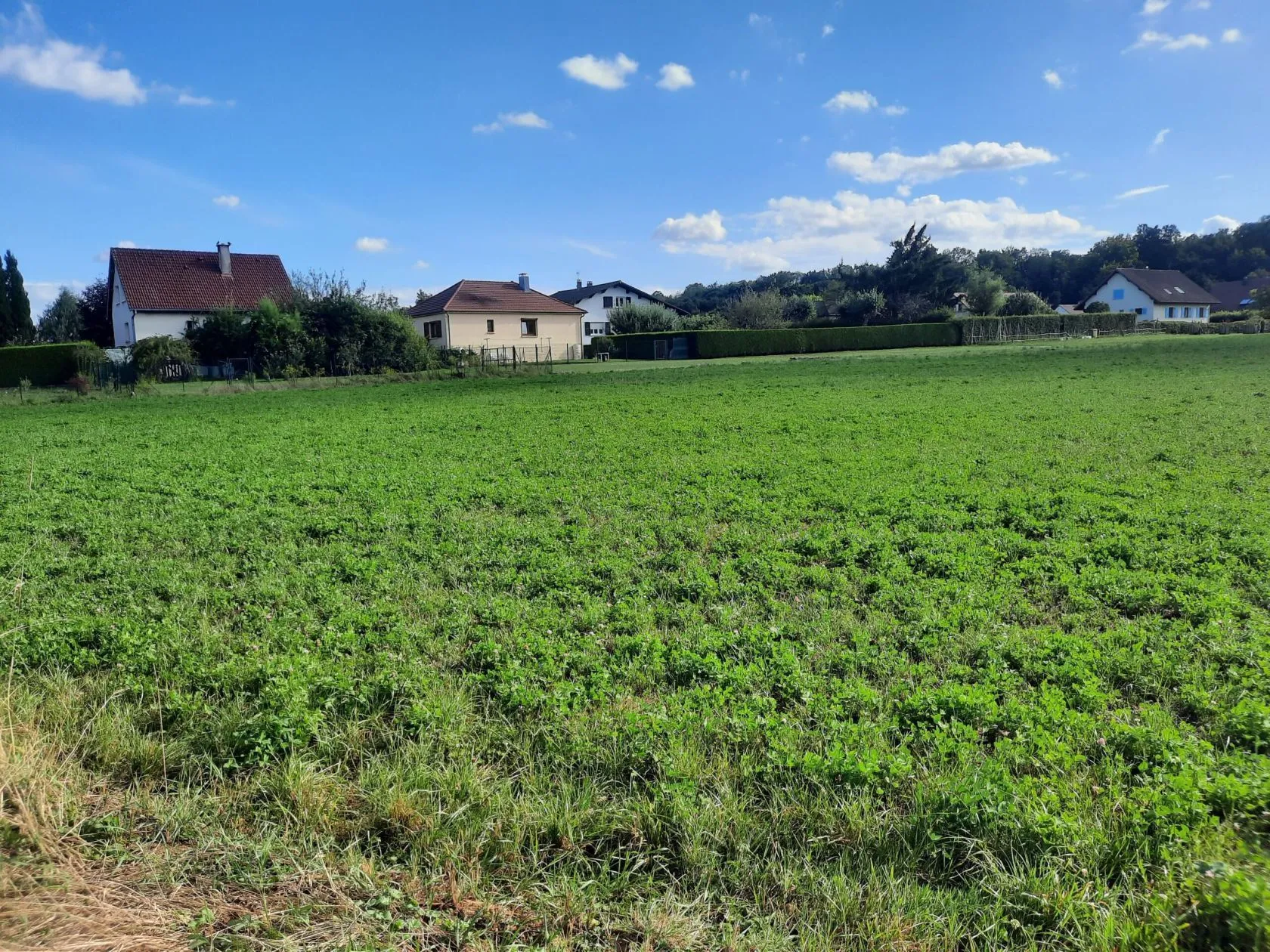 Terrain à bâtir 470 m² à Bavilliers (90800)