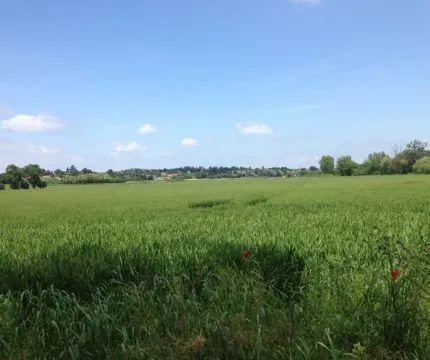 Maison neuve 101 m² à Saint-Jean-de-Liversay (17170)