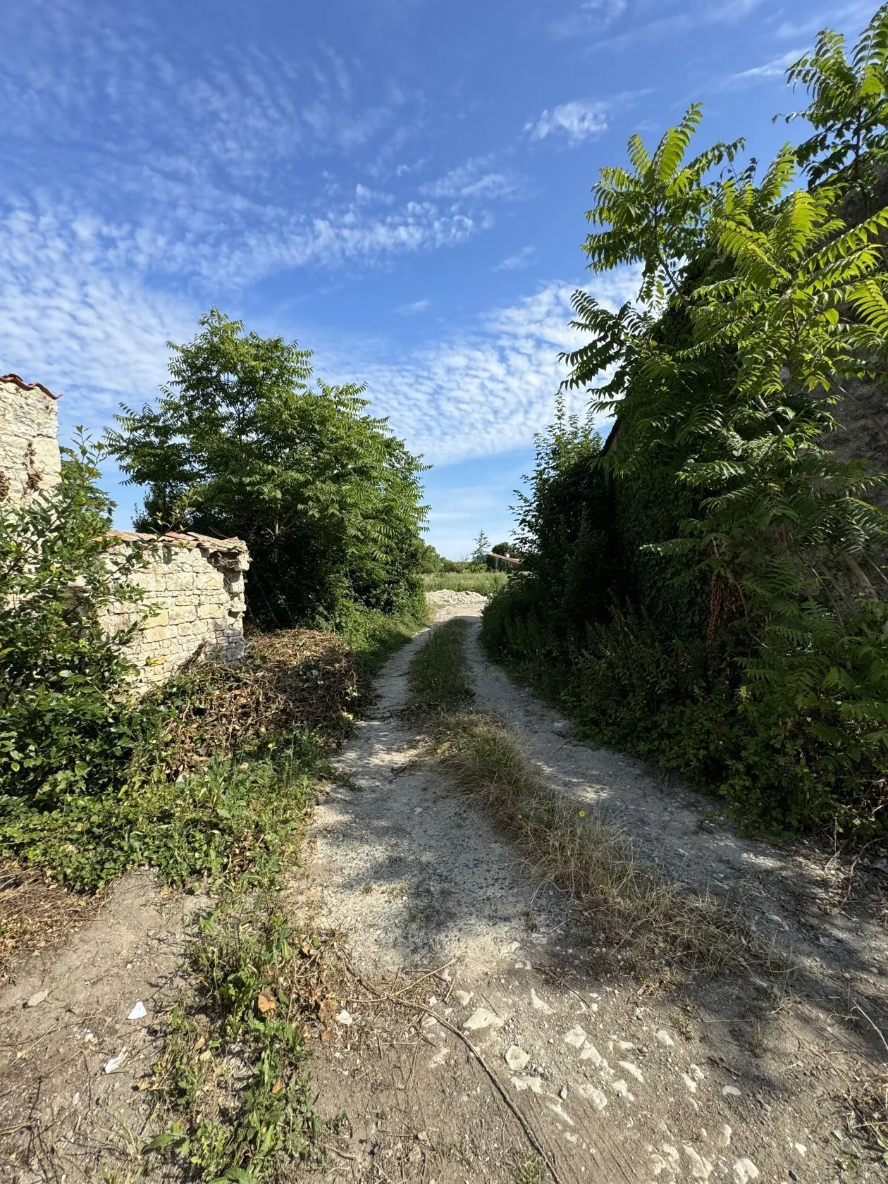 Maison neuve 85 m² à Vérines (17540)