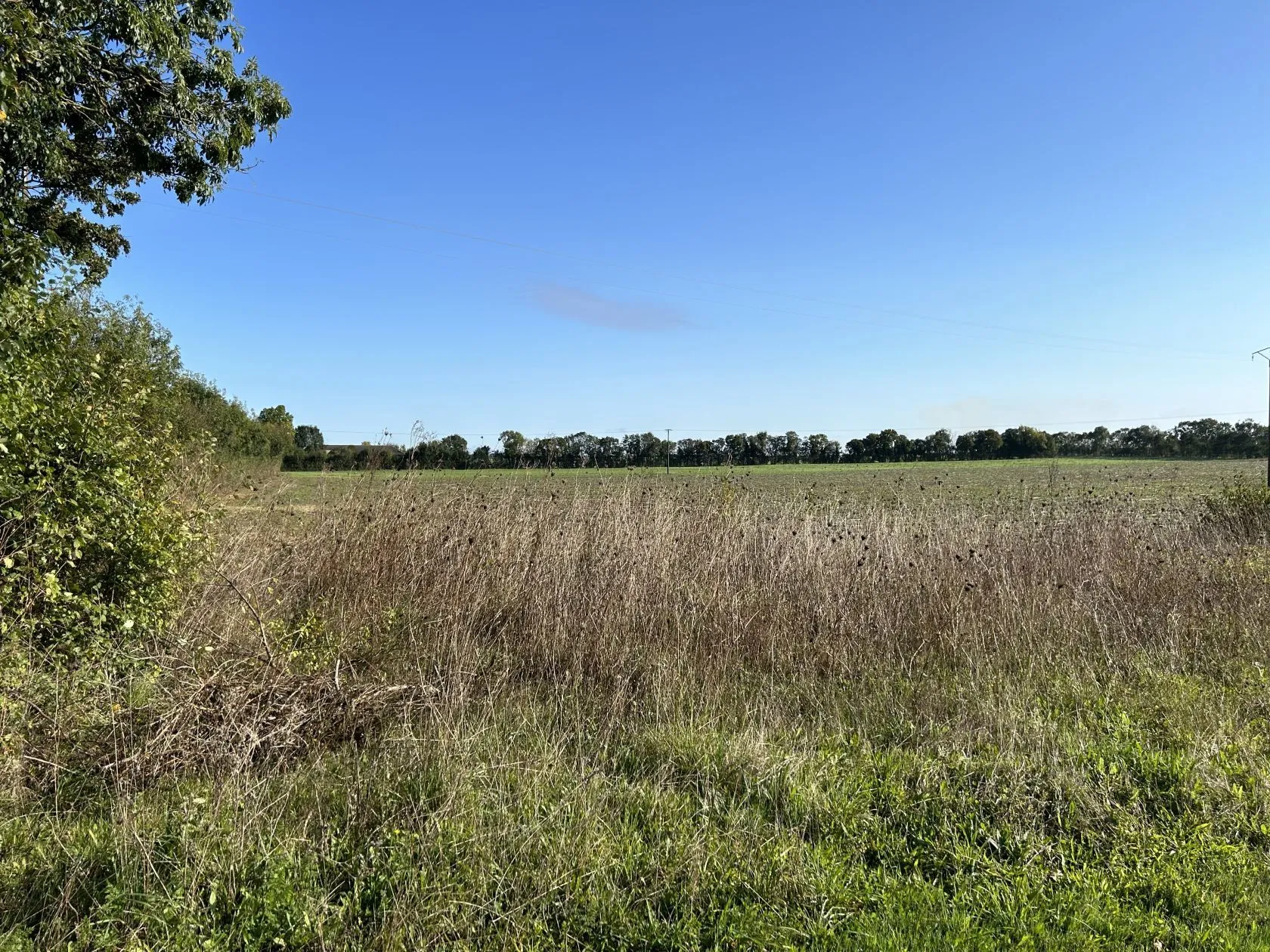 Terrain à bâtir 313 m² à Ciré-d'Aunis (17290)