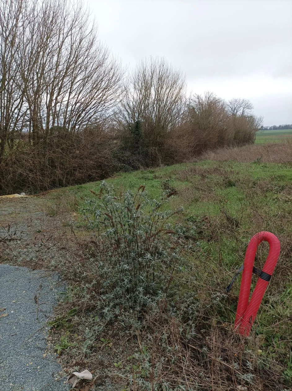 Terrain à bâtir 285 m² à Échiré (79410)