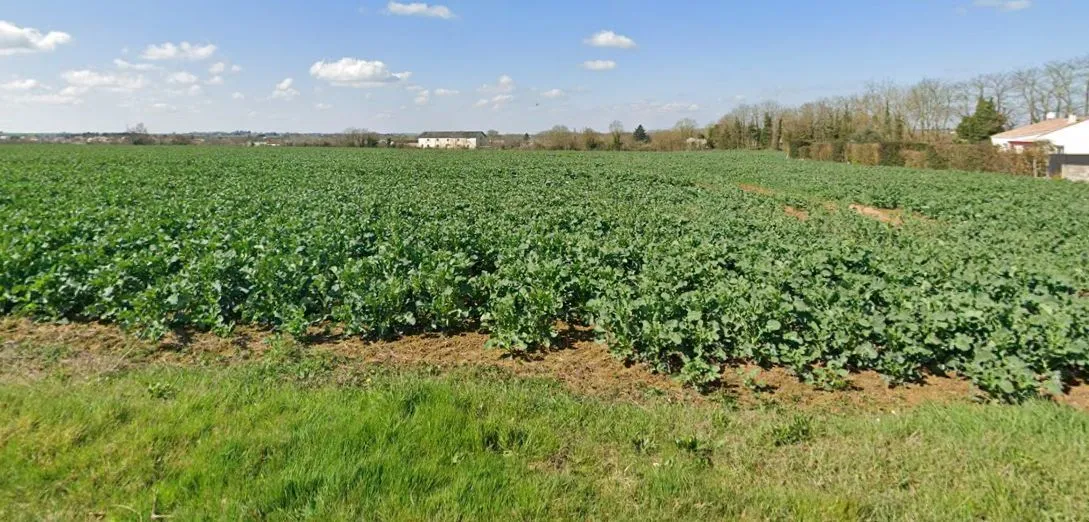 Terrain à bâtir 494 m² à Échiré (79410)