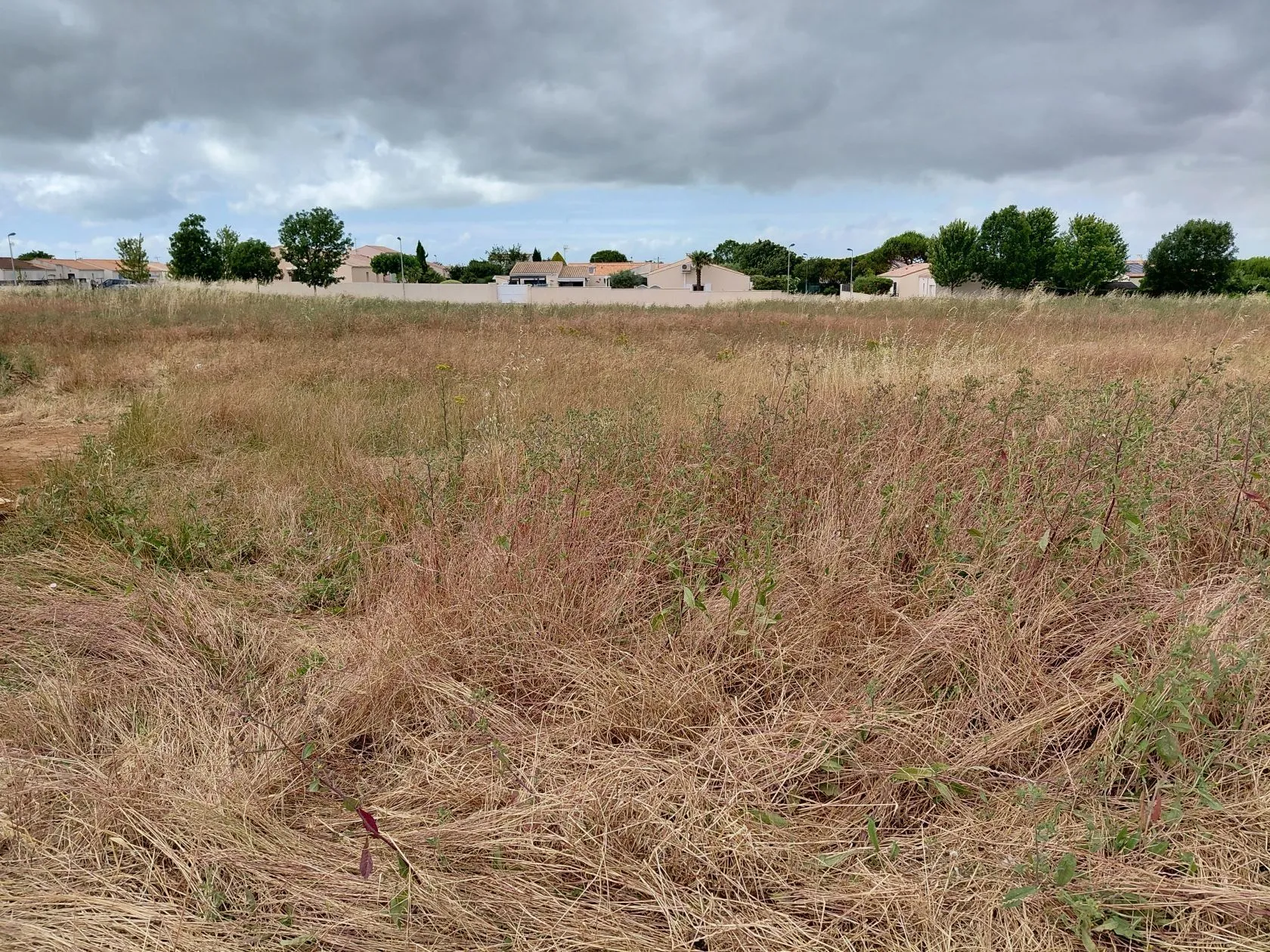 Maison neuve 83 m² à Port-des-Barques (17730)