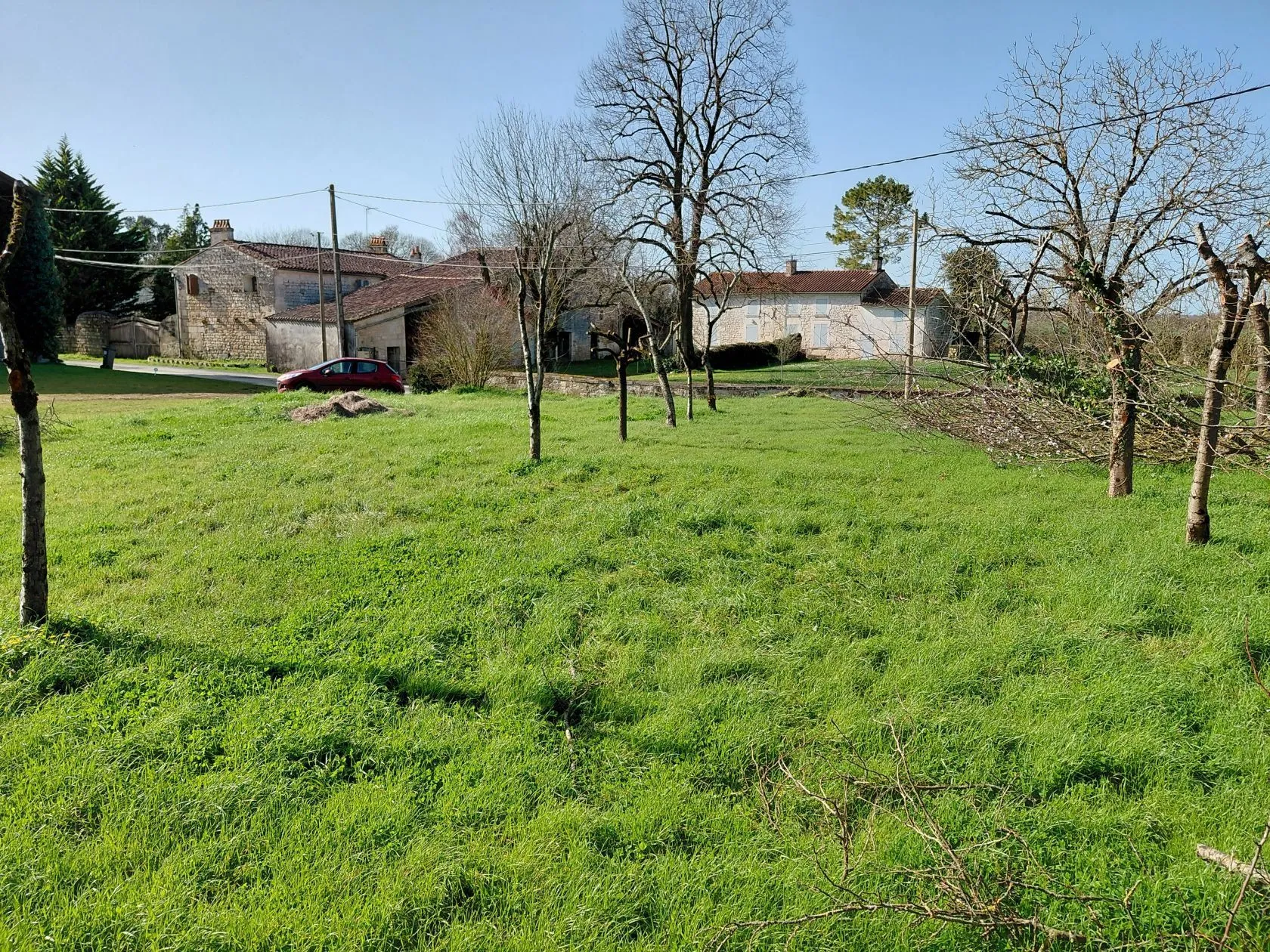 Terrain à bâtir 1369 m² à Plassay (17250)