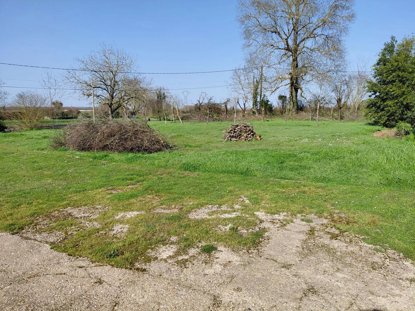 Terrain à bâtir 1369 m² à Plassay (17250)