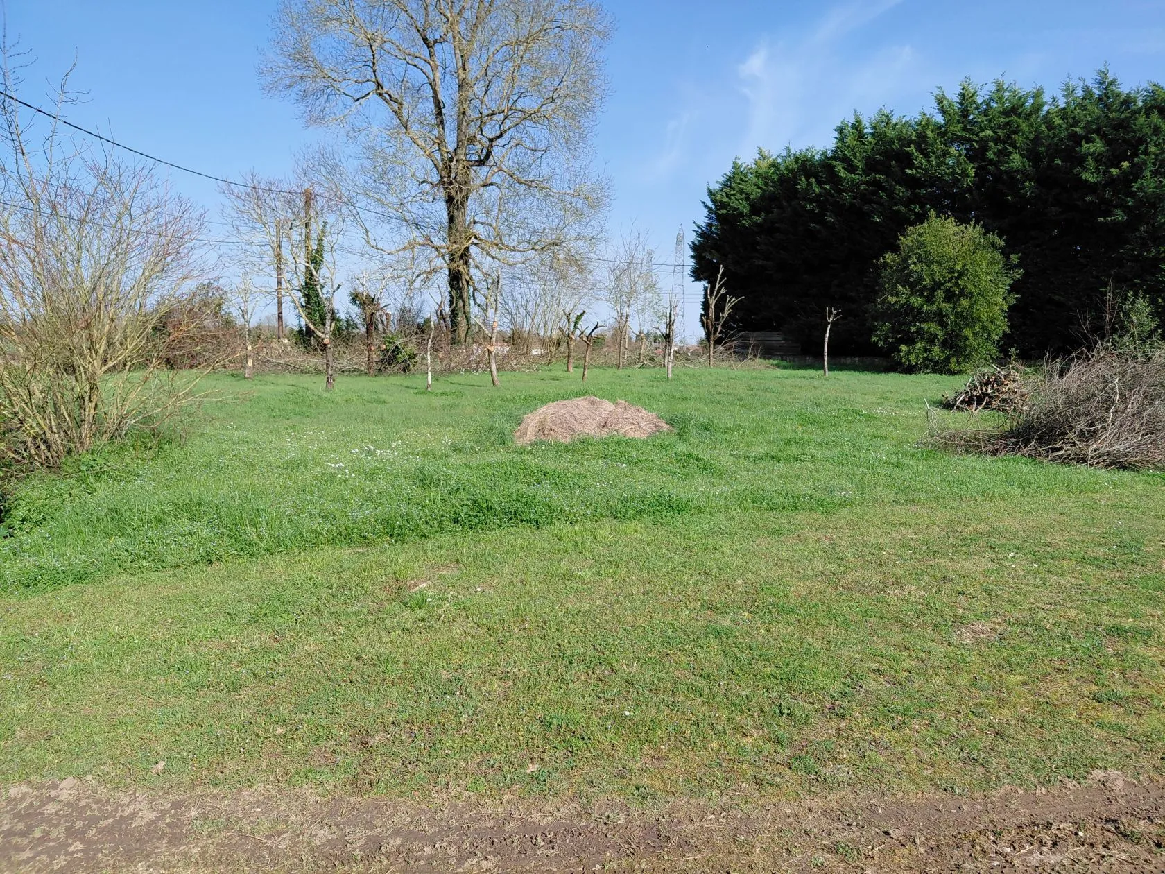 Terrain à bâtir 1369 m² à Plassay (17250)