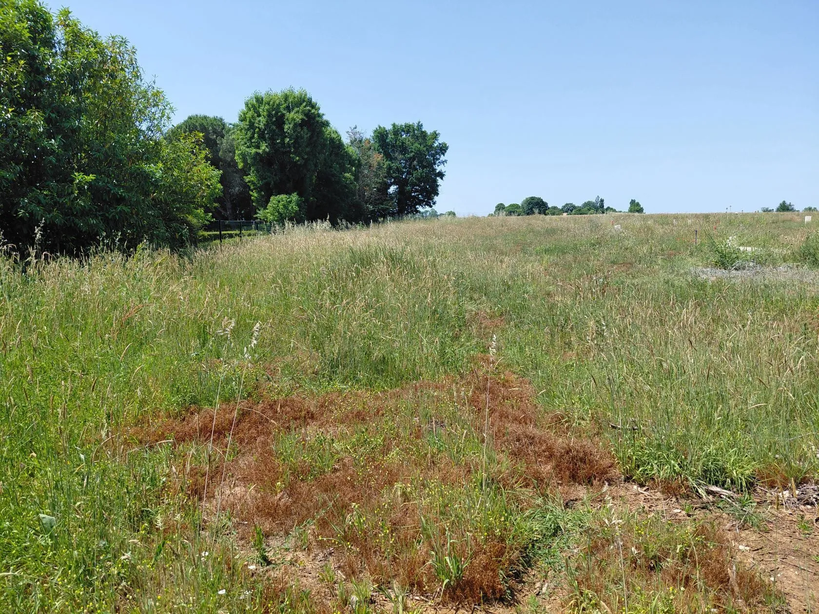 Terrain à bâtir 440 m² à Saint-Hippolyte (17430)