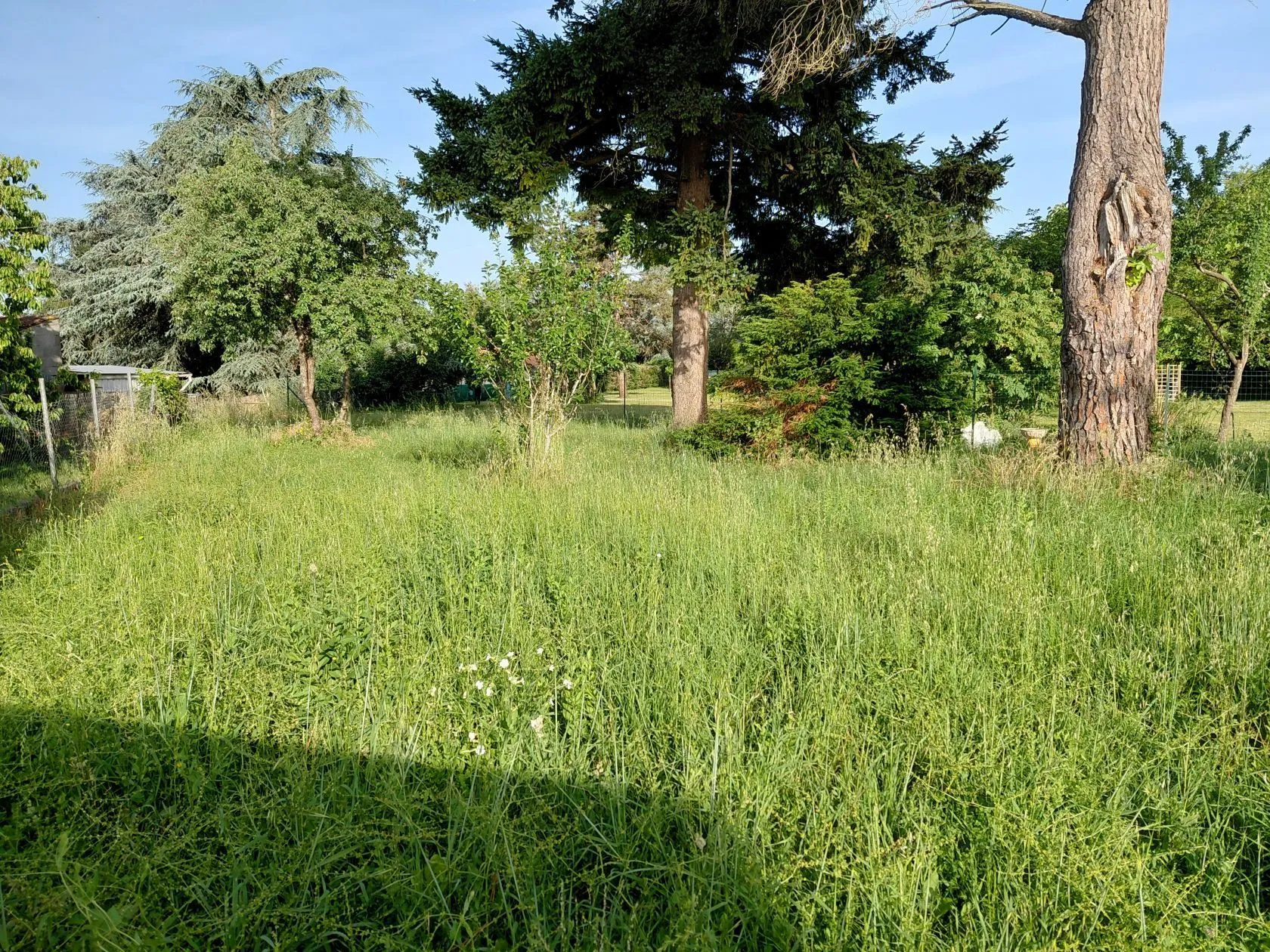 Terrain à bâtir 909 m² à Saint-Vaize (17100)