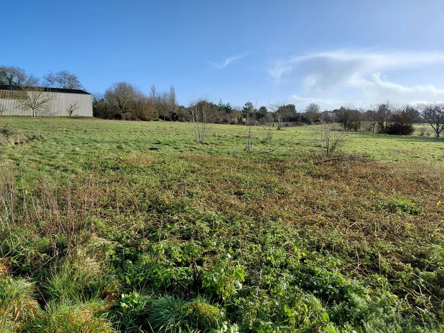 Terrain à bâtir 1550 m² à Pont-l'Abbé-d'Arnoult (17250)